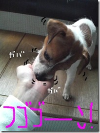今日カズ090203　9