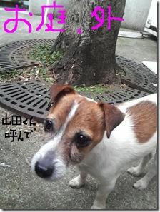 今日カズ090204　1