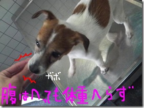 今日カズ090204　2