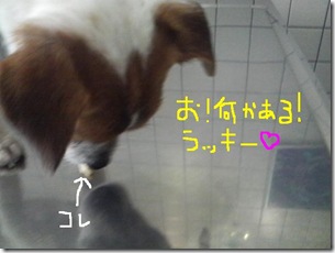 今日カズ090204　4