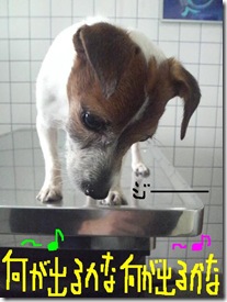 今日カズ090204　6