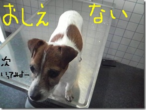 今日カズ090204　8
