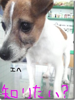 今日カズ090204　9