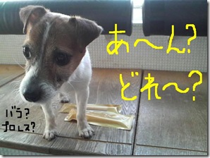 今日カズ090206　3