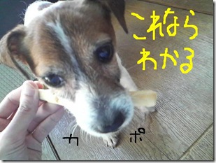 今日カズ090206　6