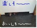 今日カズ090206　9