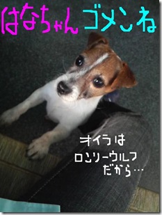 今日カズ090206　10