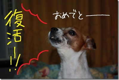 今日カズ０９０２１１　１