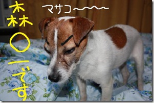 今日カズ０９０２１２　２