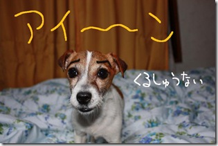 今日カズ０９０２１２　３