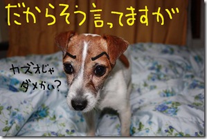 今日カズ０９０２１２　４