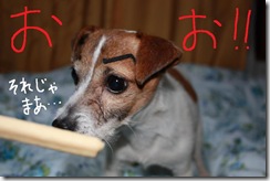 今日カズ０９０２１２　６