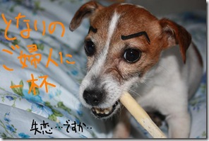 今日カズ０９０２１２　８