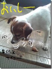 今日カズ０９０２１３　５