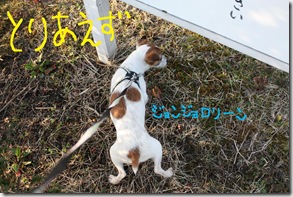 今日カズ０９０２１４　２