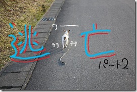 今日カズ０９０２１４　１２