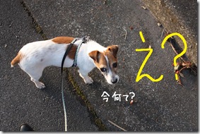 今日カズ０９０２１４　１５