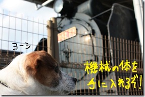 今日カズ０９０２１５　２