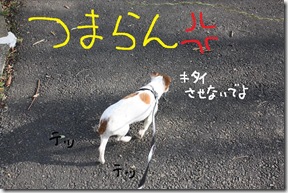 今日カズ０９０２１５　４