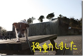 今日カズ０９０２１５　５