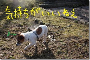 今日カズ０９０２１５　６