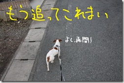 今日カズ０９０２１５　１０