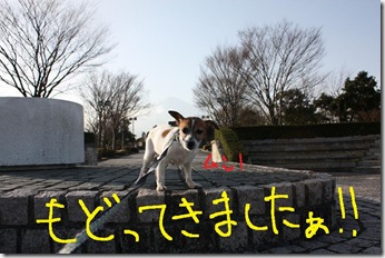 今日カズ０９０２１５　１１