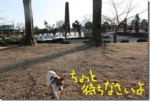 今日カズ０９０２１５　１２