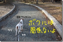 今日カズ０９０２１５　１３