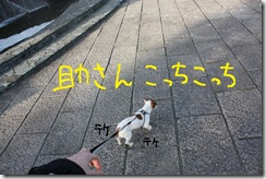 今日カズ０９０２１５　１６