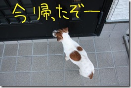 今日カズ０９０２１５　１９