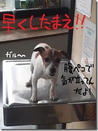 今日カズ０９０２１６　１
