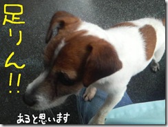 今日カズ０９０２１６　４