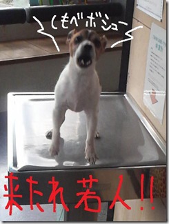 今日カズ０９０２１６　８