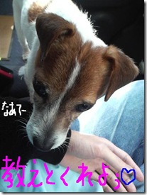 今日カズ090217　2