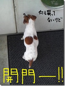 今日カズ090217　6