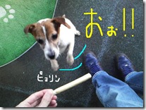今日カズ090217　7