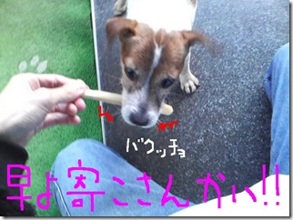 今日カズ090217　9