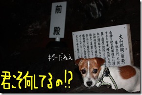 今日カズ090218　2