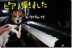 今日カズ090218　5