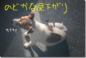 今日カズ090220　1