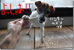 今日カズ090220　5