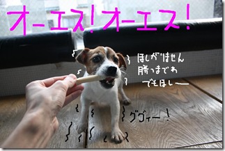 今日カズ090220　6