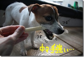 今日カズ090220　7