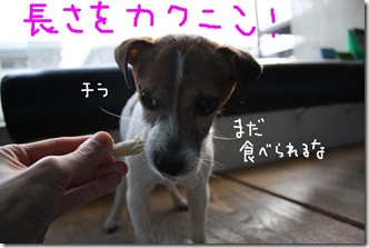 今日カズ090220　8