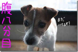 今日カズ090220　9