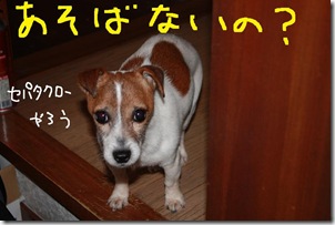 今日カズ０９０２２３　４