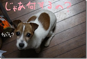 今日カズ０９０２２３　５