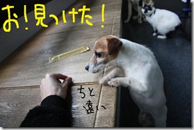 今日カズ０９０２２４　３