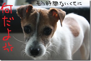 今日カズ０９０２２４　７